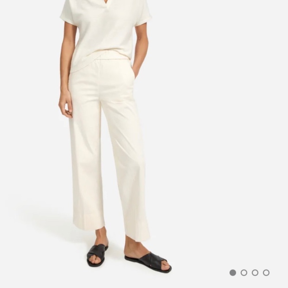 Everlane Easy Straight Leg Chino